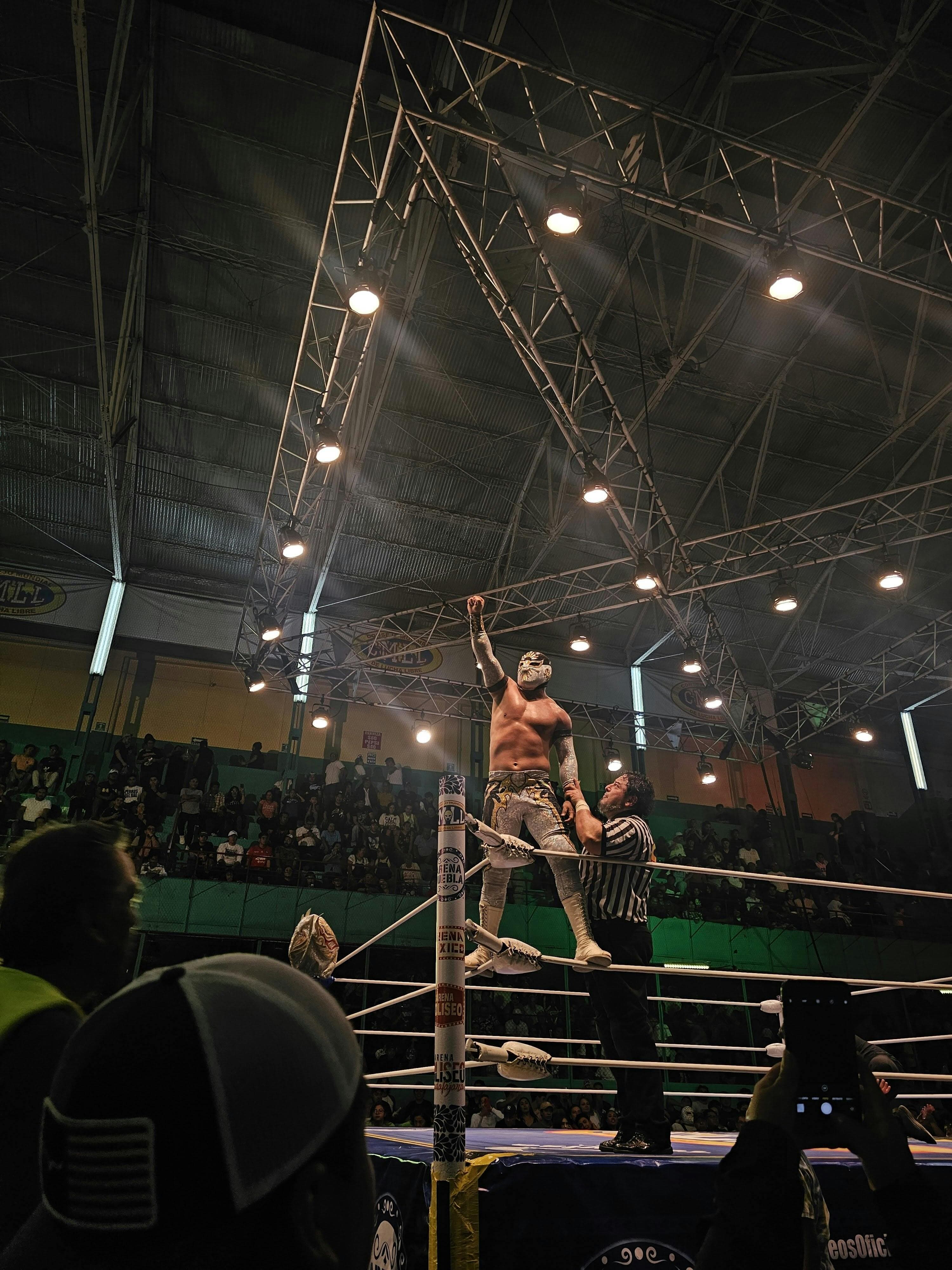 Corporate Wrestling Shows